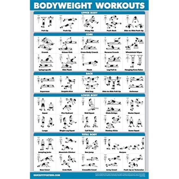 3 Pack Laminated Palace Learning Dumbbell and Body Weight Exercise Poster 18x24" - Picture 6 of 6